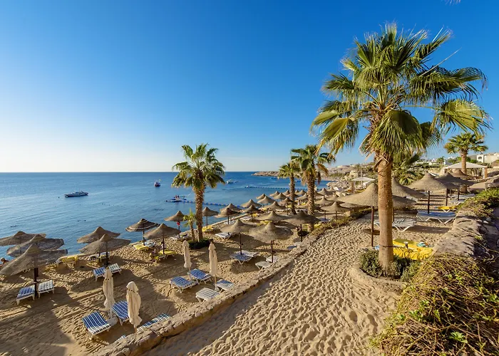 Concorde El Salam Sheikh Sport Resort 5*